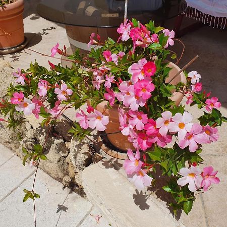 Bed and Breakfast Fenetre Sur Les Alpilles Сен-Мартен-де-Кро Экстерьер фото