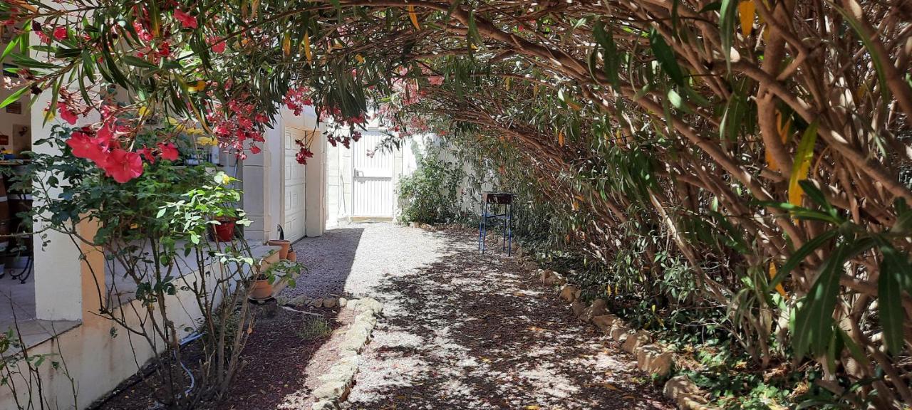 Bed and Breakfast Fenetre Sur Les Alpilles Сен-Мартен-де-Кро Экстерьер фото